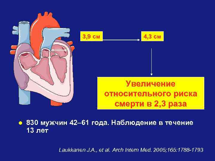 3, 9 см 4, 3 см Увеличение относительного риска смерти в 2, 3 раза