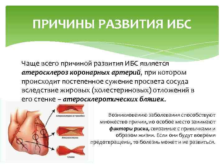 ПРИЧИНЫ РАЗВИТИЯ ИБС Чаще всего причиной развития ИБС является атеросклероз коронарных артерий, при котором