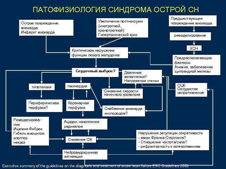 ПАТОФИЗИОЛОГИЯ СИНДРОМА ОСТРОЙ СН Увеличение постнагрузки (инотропной, хронотропной) Гипертонический криз Аритмия и др. Острое