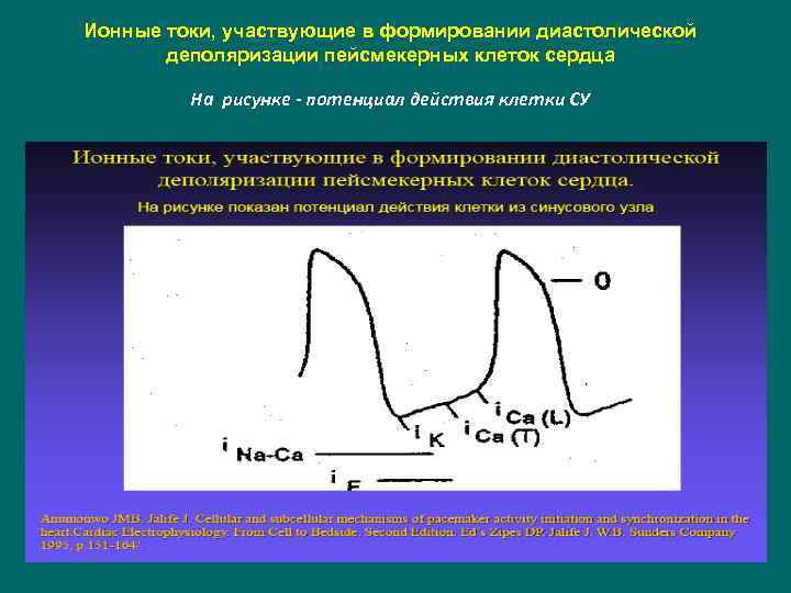 Потенциал действия пейсмекерных