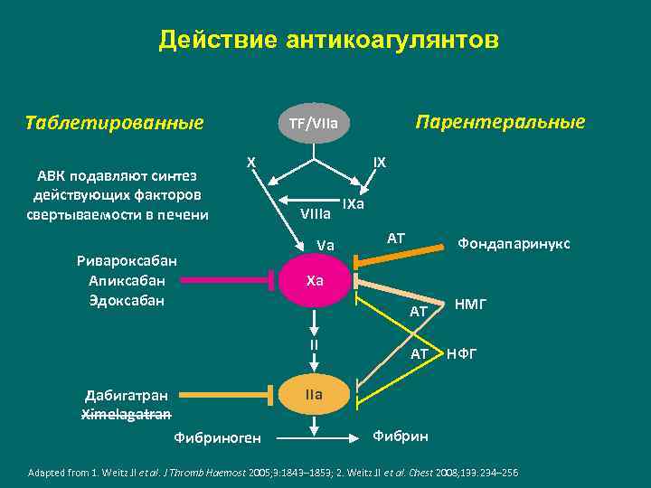 Действие антикоагулянтов Таблетированные АВК подавляют синтез действующих факторов свертываемости в печени Парентеральные TF/VIIa X