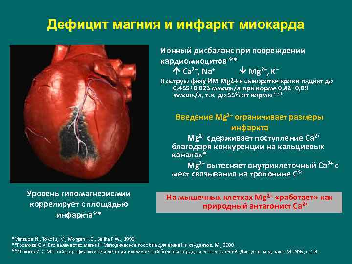 Дефицит магния и инфаркт миокарда Ионный дисбаланс при повреждении кардиомиоцитов ** Ca 2+, Na+