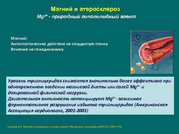 Магний и атеросклероз Mg 2+ - природный гиполипидный агент Магний: Антиспастическое действие на сосудистую