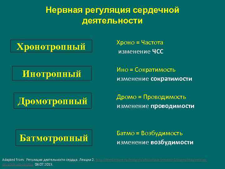 Нервная регуляция сердечной деятельности Хронотропный Хроно = Частота изменение ЧСС Инотропный Ино = Сократимость