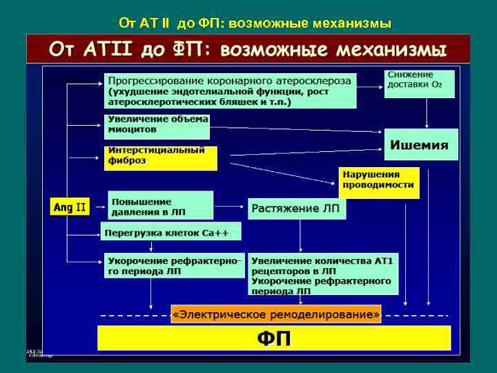 От АТ II до ФП: возможные механизмы 