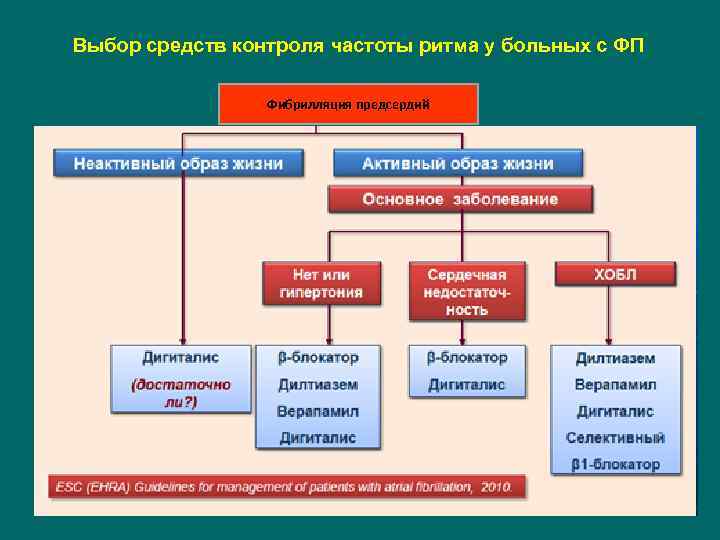  Выбор средств контроля частоты ритма у больных с ФП Фибрилляция предсердий 