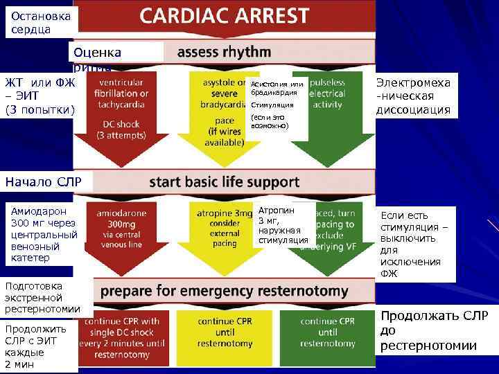 Остановка сердца Оценка ритма ЖТ или ФЖ – ЭИТ (3 попытки) Асистолия или брадикардия