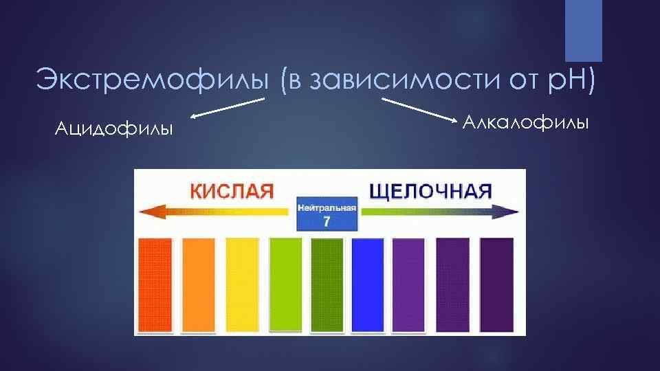 Экстремофилы (в зависимости от p. H) Ацидофилы Алкалофилы 