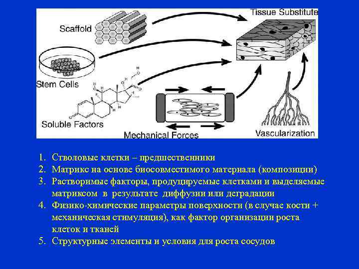 1. Стволовые клетки – предшественники 2. Матрикс на основе биосовместимого материала (композиции) 3. Растворимые