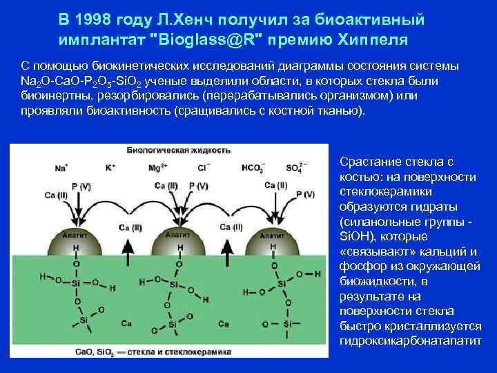 В 1998 году Л. Хенч получил за биоактивный имплантат "Bioglass@R" премию Хиппеля С помощью