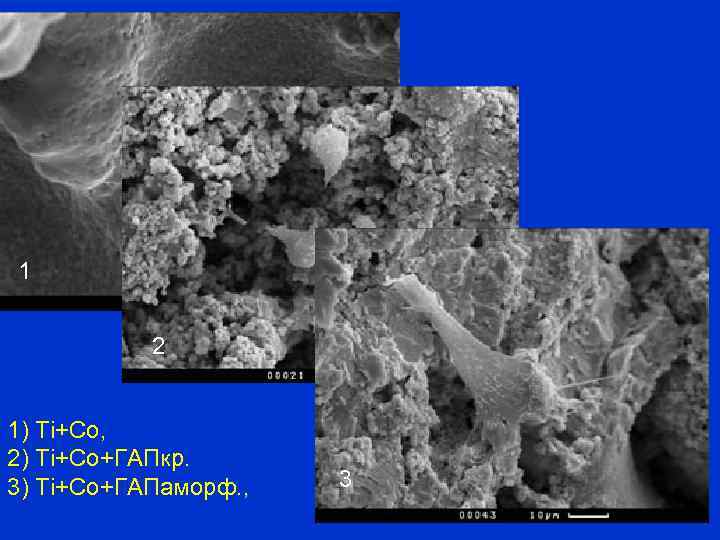 1 2 1) Ti+Co, 2) Ti+Co+ГАПкр. 3) Ti+Co+ГАПаморф. , 3 