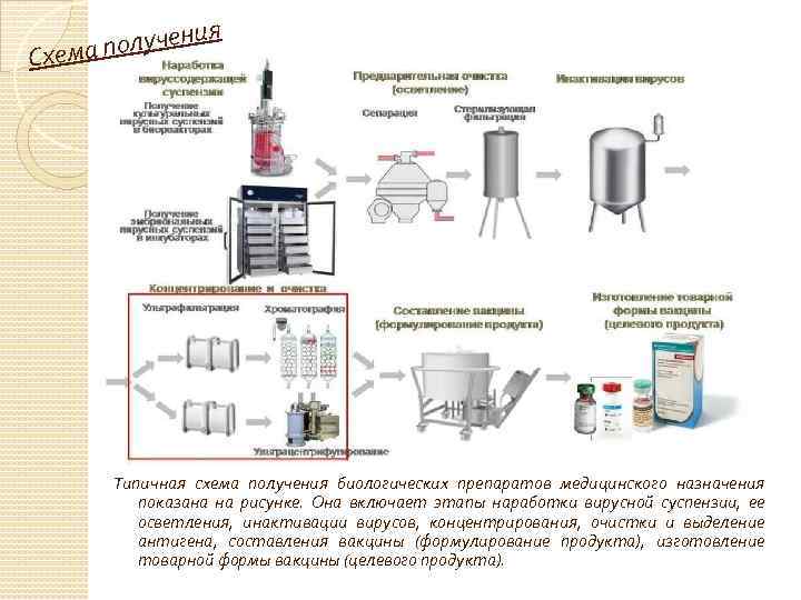 лучения о Схема п Типичная схема получения биологических препаратов медицинского назначения показана на рисунке.