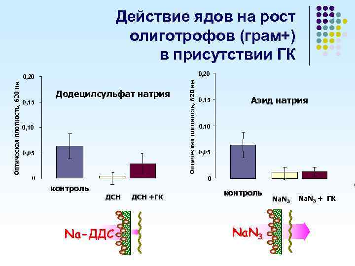 Действие ядов на рост олиготрофов (грам+) в присутствии ГК Оптическая плотность, 620 нм Додецилсульфат