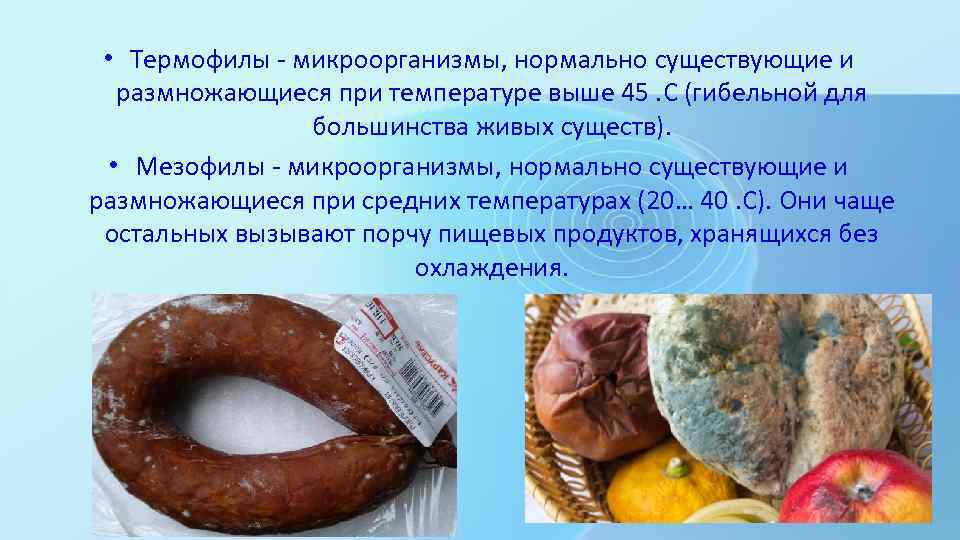  • Термофилы - микроорганизмы, нормально существующие и размножающиеся при температуре выше 45. С