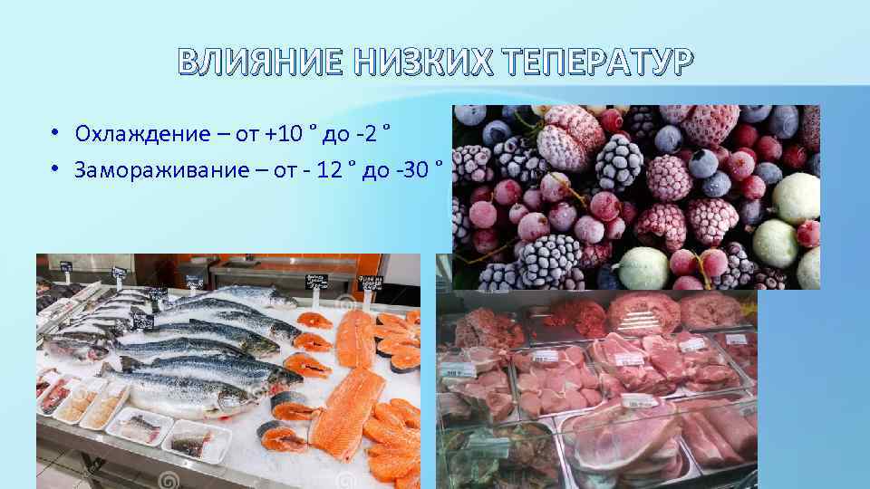 ВЛИЯНИЕ НИЗКИХ ТЕПЕРАТУР • Охлаждение – от +10 ° до -2 ° • Замораживание