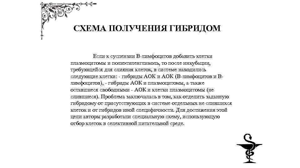 СХЕМА ПОЛУЧЕНИЯ ГИБРИДОМ Если к суспензии В-лимфоцитов добавить клетки плазмоцитомы и полиэтиленгликоль, то после