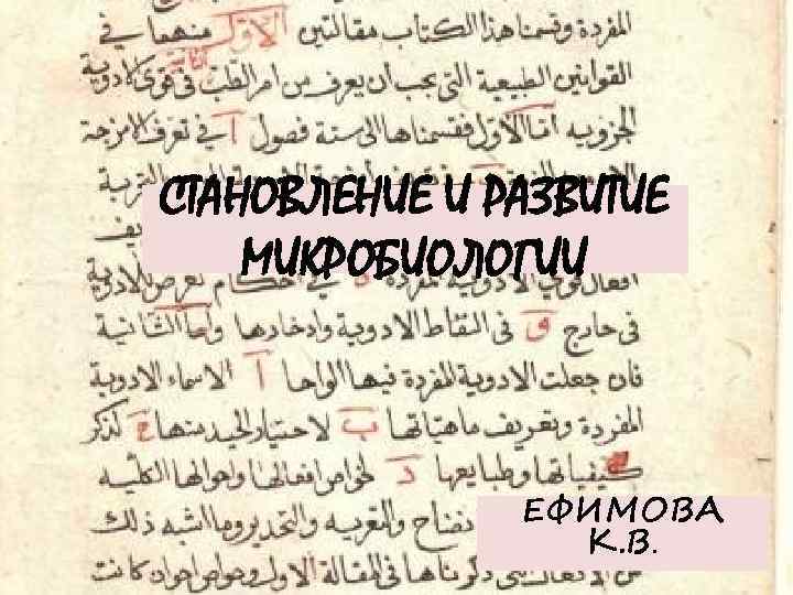 СТАНОВЛЕНИЕ И РАЗВИТИЕ МИКРОБИОЛОГИИ ЕФИМОВА К. В. 
