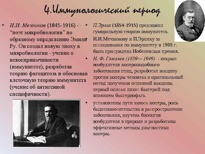 4. Иммунологический период • И. И. Мечников (1845 -1916) - • “поэт микробиологии” по