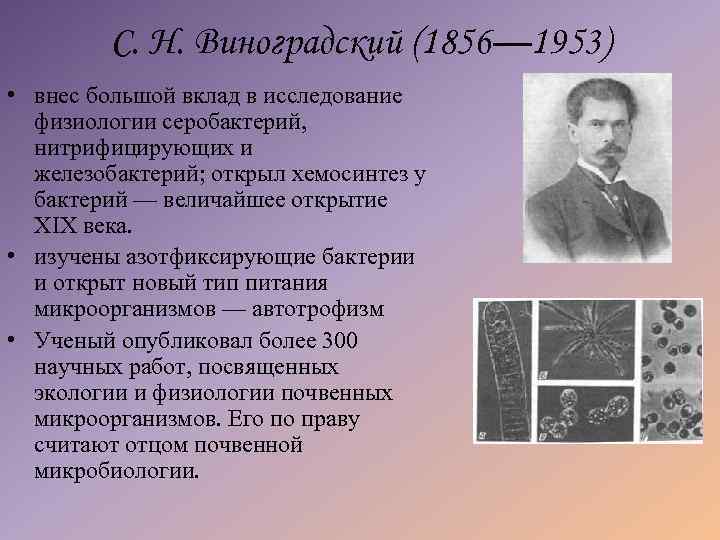 С. Н. Виноградский (1856— 1953) • внес большой вклад в исследование физиологии серобактерий, нитрифицирующих