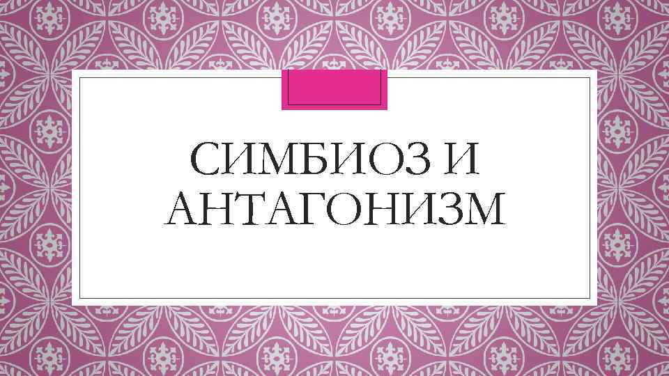 СИМБИОЗ И АНТАГОНИЗМ 