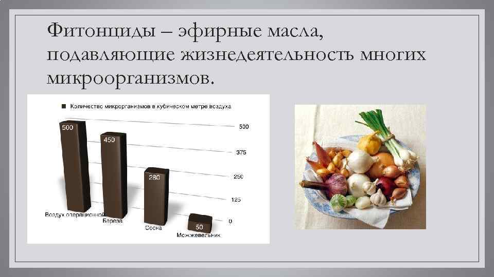 Фитонциды – эфирные масла, подавляющие жизнедеятельность многих микроорганизмов. 