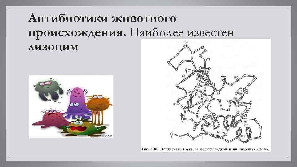 Антибиотики животного происхождения. Наиболее известен лизоцим 