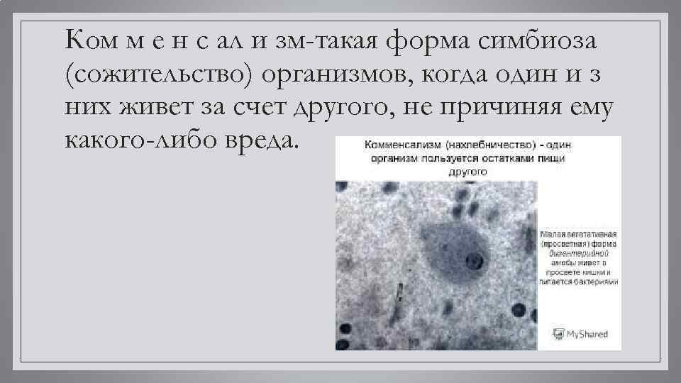 Ком м е н с ал и зм-такая форма симбиоза (сожительство) организмов, когда один