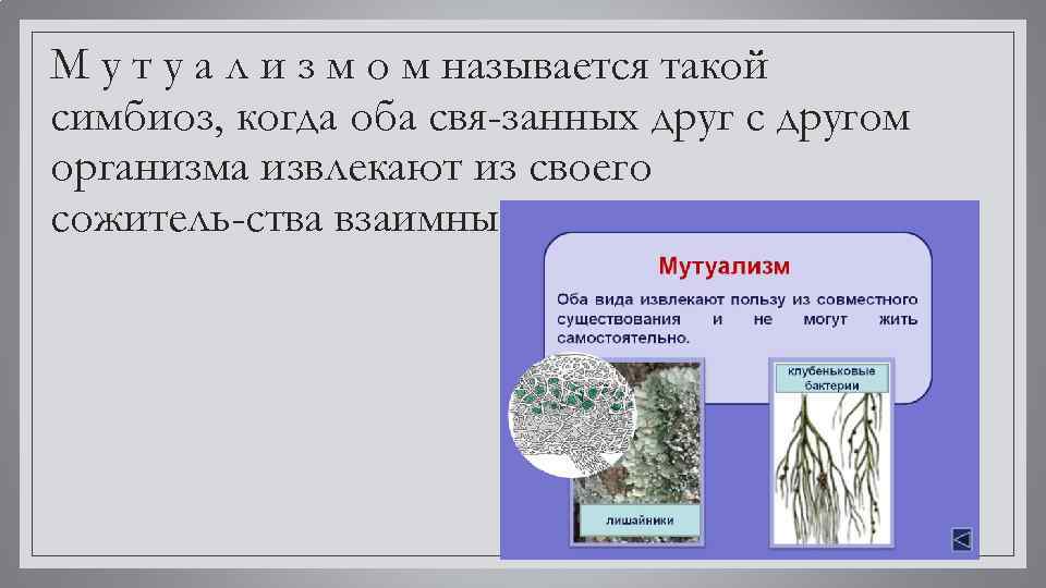 М у т у а л и з м о м называется такой симбиоз,