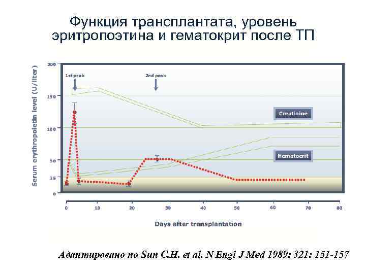Функция трансплантата, уровень эритропоэтина и гематокрит после ТП Адаптировано по Sun C. H. et