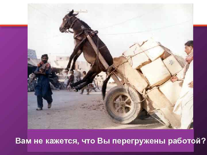 Вам не кажется, что Вы перегружены работой? 