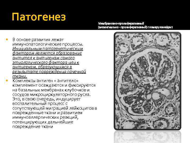 Патогенез В основе развития лежат иммунопатологические процессы. Инициальным патогенетическим фактором является образование антител к