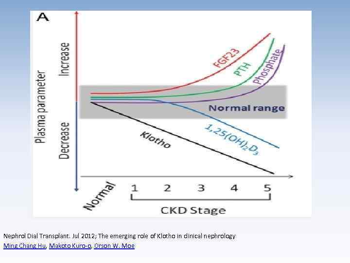 Nephrol Dial Transplant. Jul 2012; The emerging role of Klotho in clinical nephrology Ming