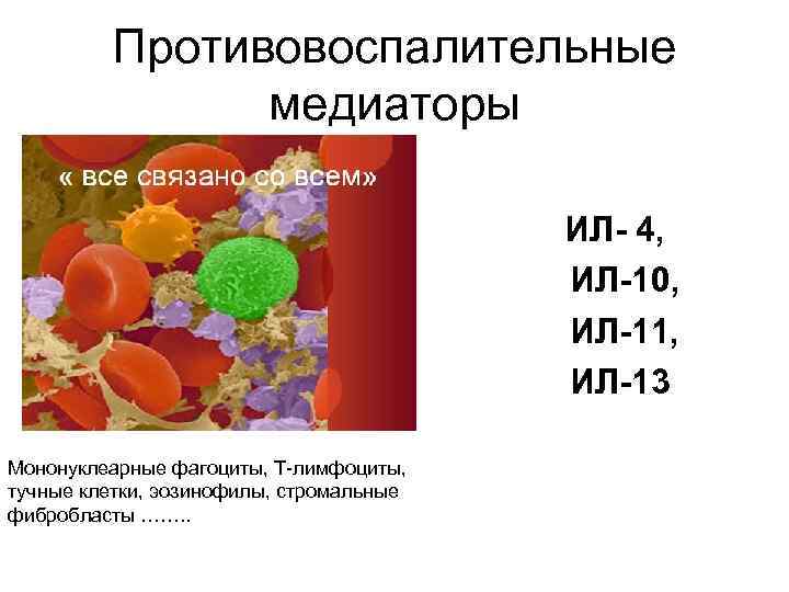 Противовоспалительные медиаторы ИЛ- 4, ИЛ-10, ИЛ-11, ИЛ-13 Мононуклеарные фагоциты, Т-лимфоциты, тучные клетки, эозинофилы, стромальные