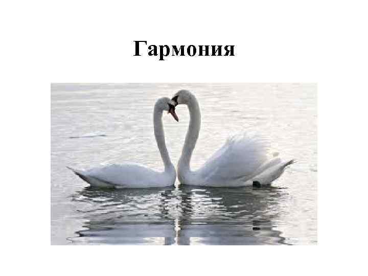 Гармония 
