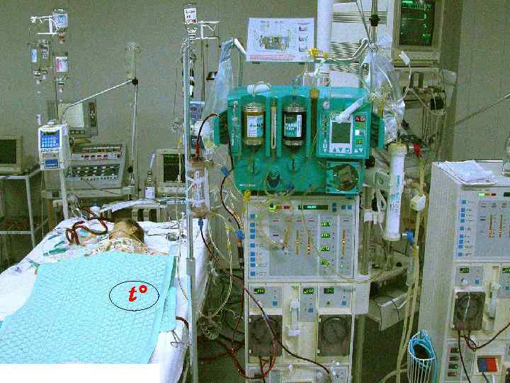 t° Фото А. С. Муравинского 