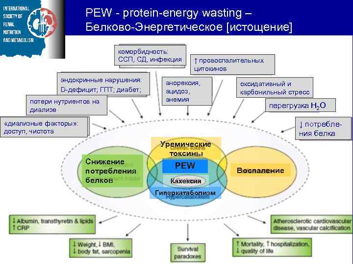 PEW - protein-energy wasting – Белково-Энергетическое [истощение] коморбидность: ССП, СД, инфекция эндокринные нарушения: D-дефицит;