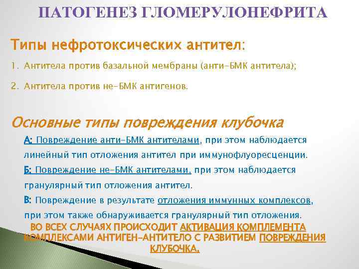 ПАТОГЕНЕЗ ГЛОМЕРУЛОНЕФРИТА Типы нефротоксических антител: 1. Антитела против базальной мембраны (анти-БМК антитела); 2. Антитела