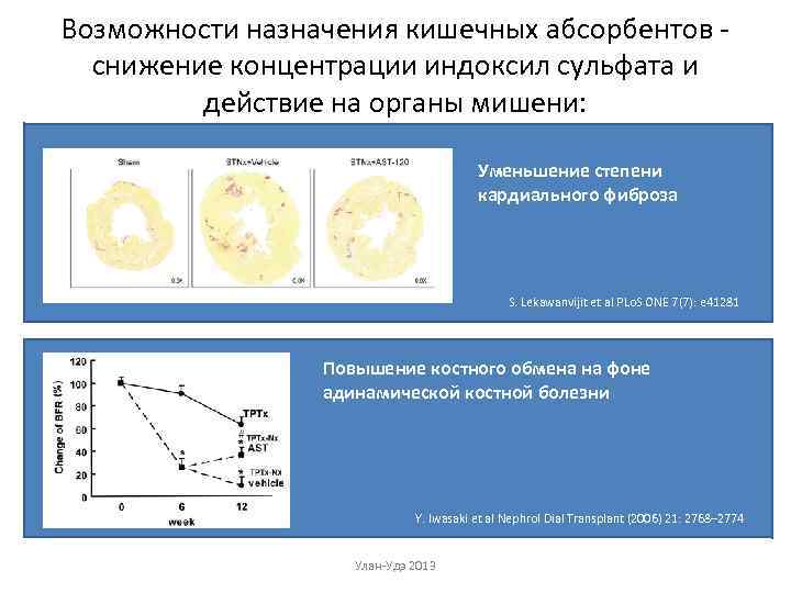 Возможности назначения кишечных абсорбентов - снижение концентрации индоксил сульфата и действие на органы мишени:
