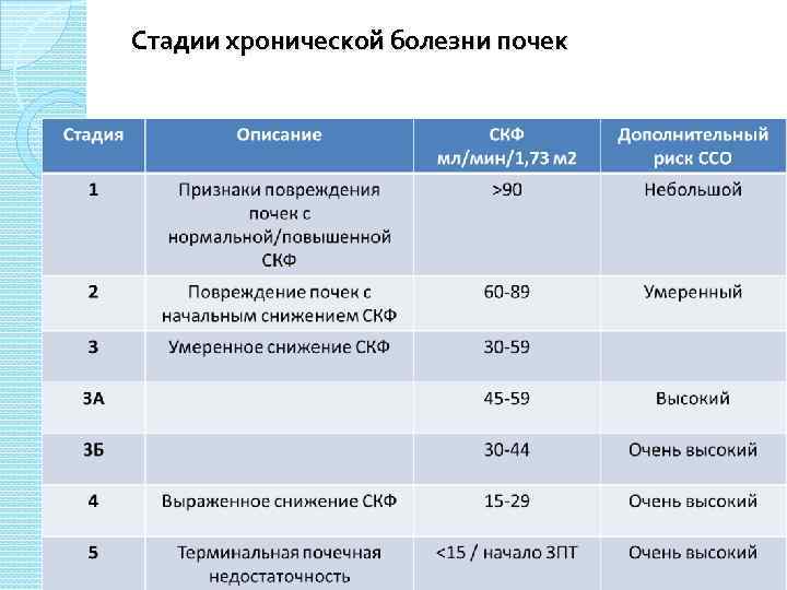 Стадии хронической болезни почек 