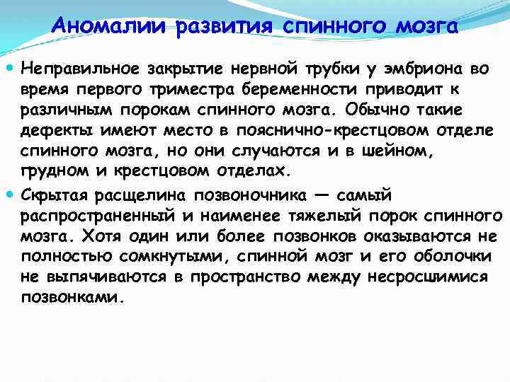 Аномалии развития спинного мозга Неправильное закрытие нервной трубки у эмбриона во время первого триместра