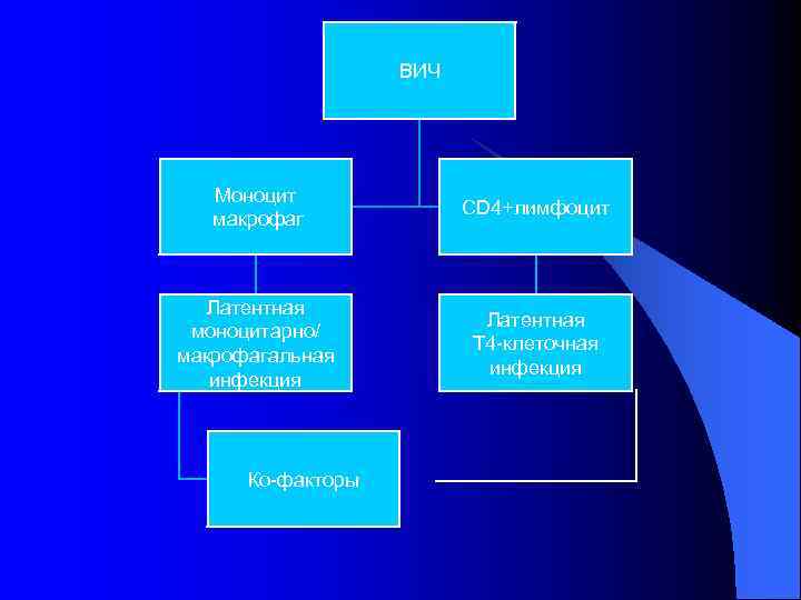 ВИЧ Моноцит макрофаг СD 4+лимфоцит Латентная моноцитарно/ макрофагальная инфекция Латентная Т 4 -клеточная инфекция
