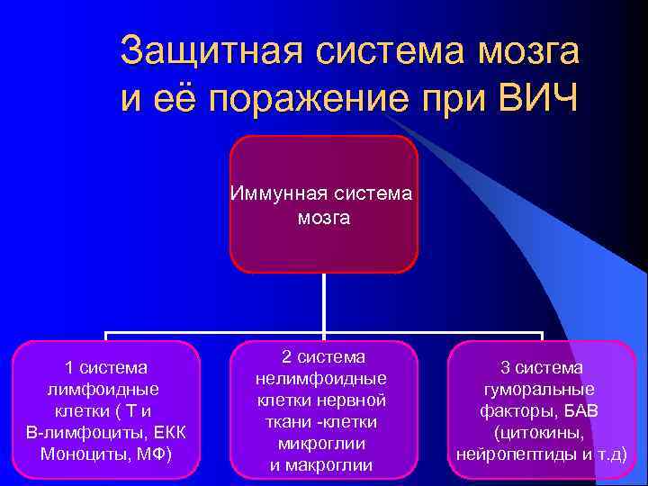 Защитная система мозга и её поражение при ВИЧ Иммунная система мозга 1 система лимфоидные