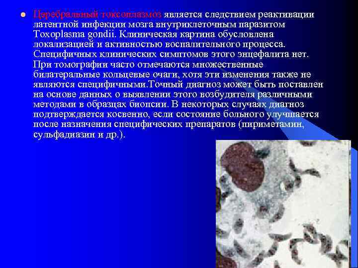l Церебральный токсоплазмоз является следствием реактивации латентной инфекции мозга внутриклеточным паразитом Toxoplasma gondii. Клиническая