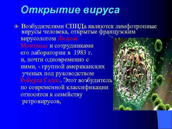 Открытие вируса Возбудителями СПИДа являются лимфотропные вирусы человека, открытые французским вирусологом Люком Монтанье и