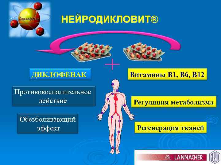 НЕЙРОДИКЛОВИТ® ДИКЛОФЕНАК Противовоспалительное действие Обезболивающий эффект Витамины В 1, В 6, В 12 Регуляция