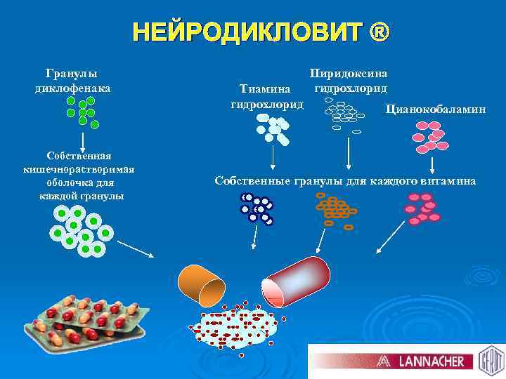 НЕЙРОДИКЛОВИТ ® Гранулы диклофенака Собственная кишечнорастворимая оболочка для каждой гранулы Тиамина гидрохлорид Пиридоксина гидрохлорид