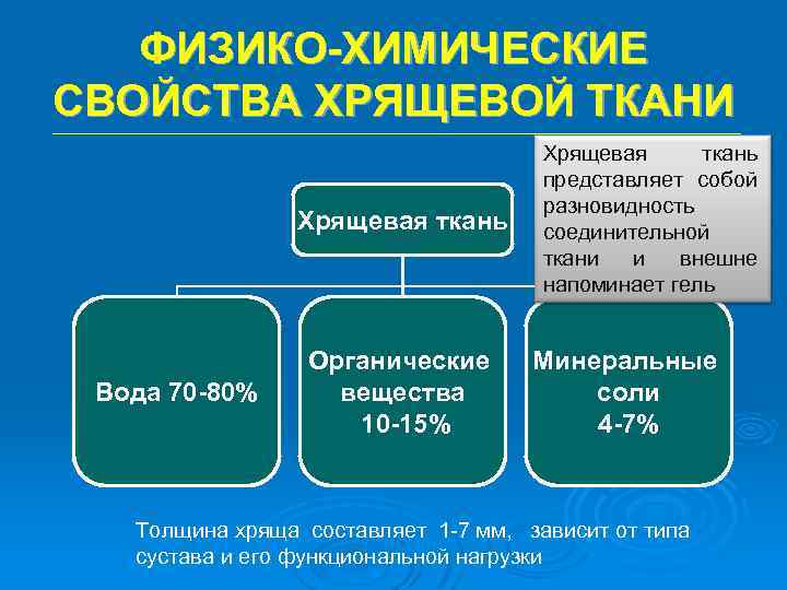 ФИЗИКО-ХИМИЧЕСКИЕ СВОЙСТВА ХРЯЩЕВОЙ ТКАНИ Хрящевая ткань Вода 70 -80% Органические вещества 10 -15% Хрящевая