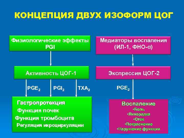 КОНЦЕПЦИЯ ДВУХ ИЗОФОРМ ЦОГ Физиологические эффекты PGl Медиаторы воспаления (ИЛ-1, ФНО-α) Активность ЦОГ-1 Экспрессия