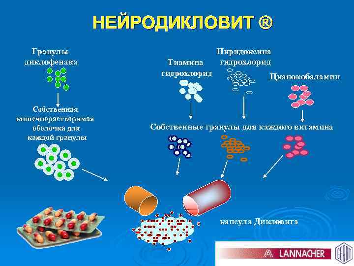 НЕЙРОДИКЛОВИТ ® Гранулы диклофенака Собственная кишечнорастворимая оболочка для каждой гранулы Тиамина гидрохлорид Пиридоксина гидрохлорид