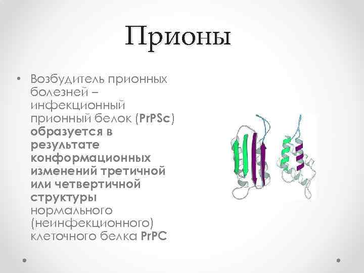 Прионы • Возбудитель прионных болезней – инфекционный прионный белок (Pr. PSc) образуется в результате